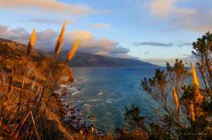 Big Sur Coast at Lucia-1950.jpg